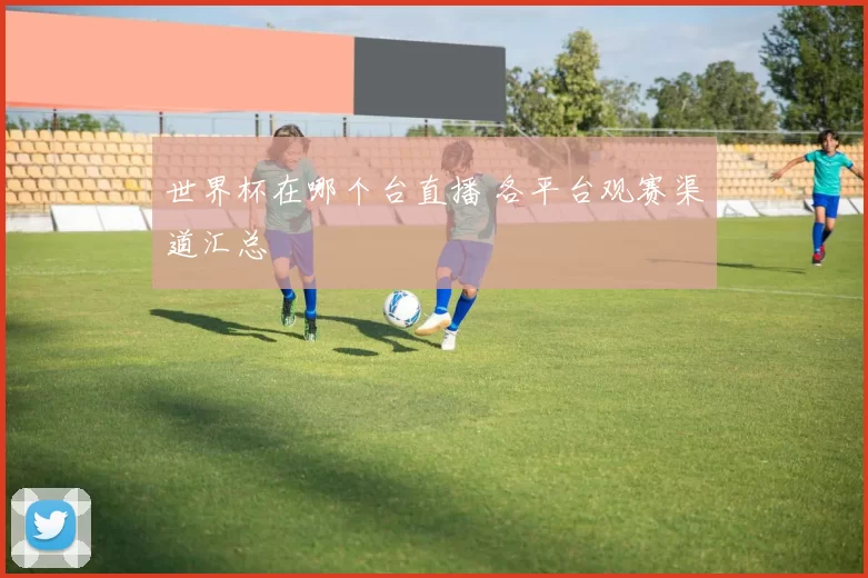 世界杯在哪个台直播 各平台观赛渠道汇总