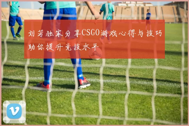 刘芳独家分享CSGO游戏心得与技巧助你提升竞技水平