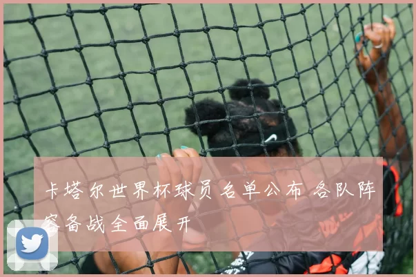 卡塔尔世界杯球员名单公布 各队阵容备战全面展开