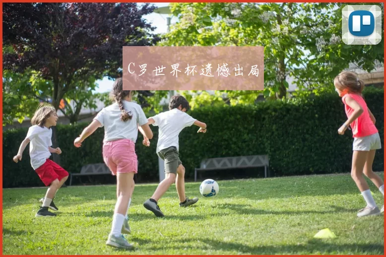 C罗世界杯遗憾出局