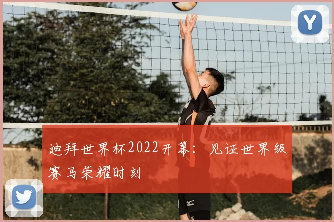 迪拜世界杯2022开幕:见证世界级赛马荣耀时刻