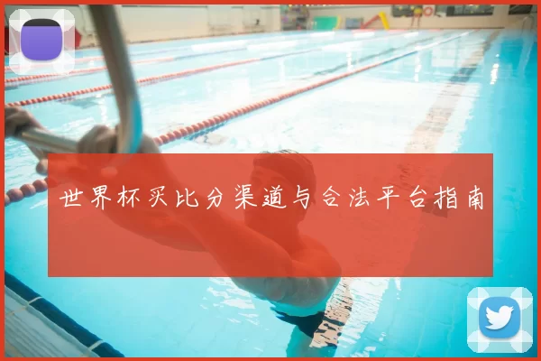 世界杯买比分渠道与合法平台指南