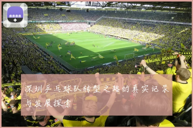 深圳乒乓球队转型之路的真实记录与发展探索