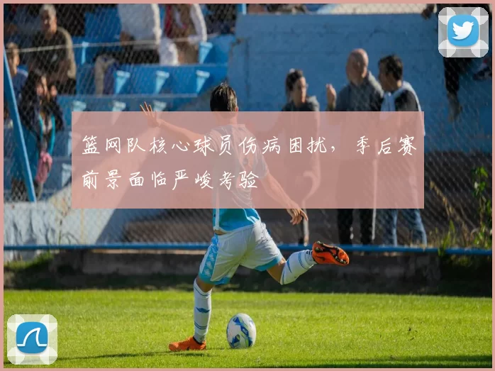 篮网队核心球员伤病困扰，季后赛前景面临严峻考验