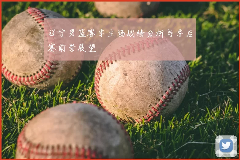 辽宁男篮赛季主场战绩分析与季后赛前景展望