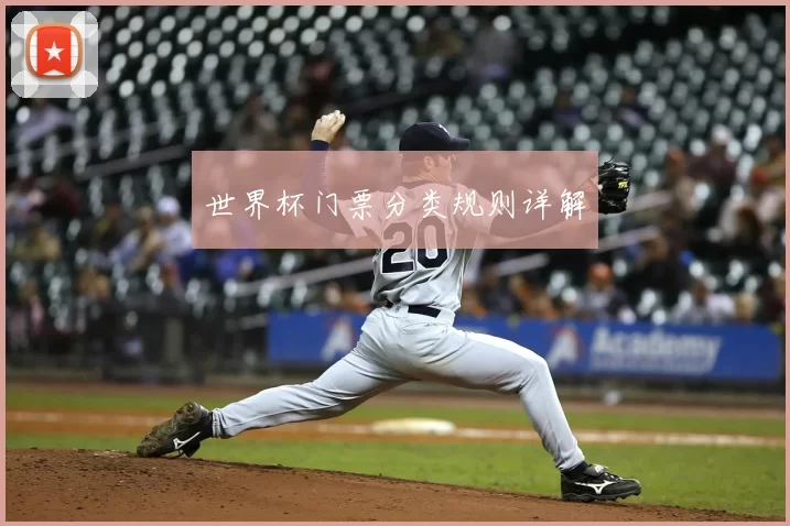 世界杯门票分类规则详解