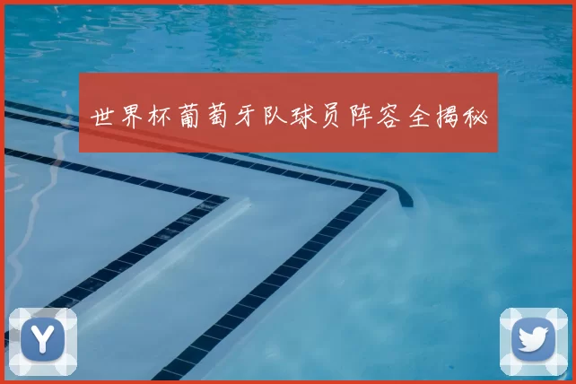 世界杯葡萄牙队球员阵容全揭秘