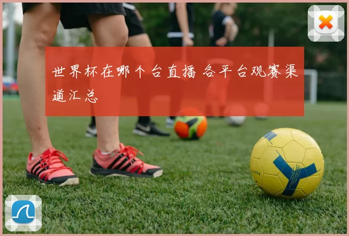 世界杯在哪个台直播 各平台观赛渠道汇总